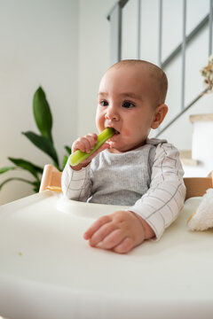 Baby eating celery
