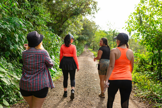 Hike Among Friends