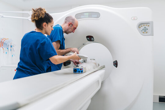 Veterinarians preparing a dog for a ct scan in a veterinary clinic