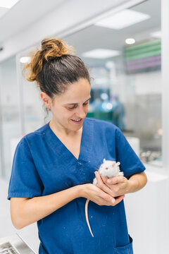 Veterinarian holding a laboratory rat during a medical check-up