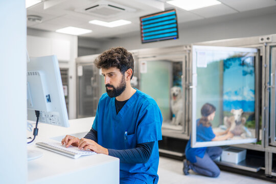 Veterinarian typing on computer keyboard in modern clinic