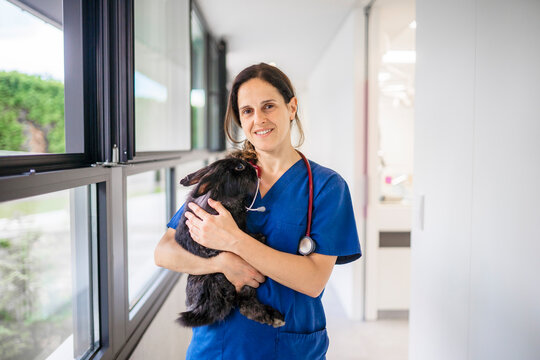 Veterinarian holding a black rabbit in a veterinary clinic