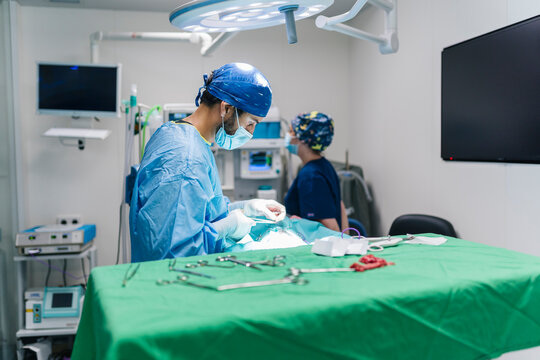 Veterinarian performing surgery on a pet in operating room