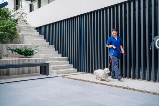 Veterinary walking a small white dog on a leash near a modern clinic