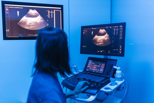 Veterinarian performing an ultrasound at a veterinary clinic