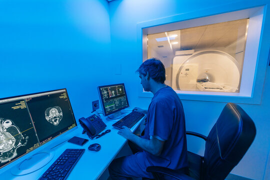Veterinarian analyzing cat scan in modern veterinary clinic