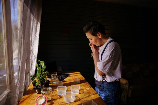 The gardener plants the seeds