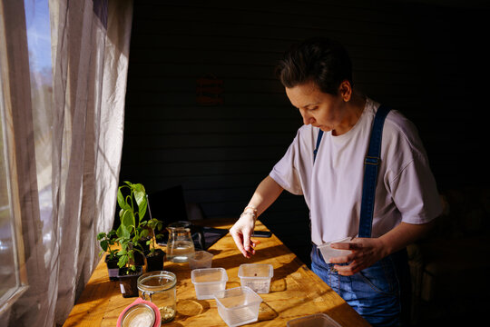 The gardener plants the seeds