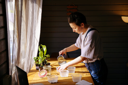 The gardener plants the seeds