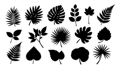 Minimal Black Leaf Icon Pack &ndash; Botanical Silhouette Vector Set