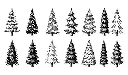 Obraz premium Hand-Drawn Christmas Pine Tree Icons – Winter Forest Vector Set
