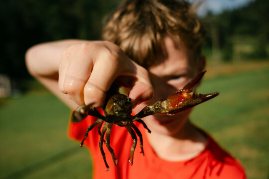 boy showing crayfish he just caught 
