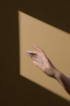 Minimalistic Artistic Photograph of a Hand in Natural Light on a Wall