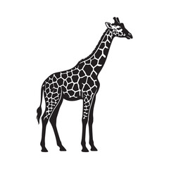 Naklejka premium Detailed Black and White Giraffe Illustration African Wildlife Safari Design