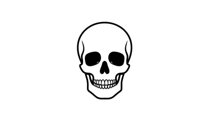 Obraz premium Clean Human Skull Line Art on WHITE BACKGROUND – Minimal Skeleton Vector Icon