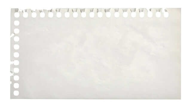 Isolated, textured blank notepad page with spiral binding and torn edges against a black ground