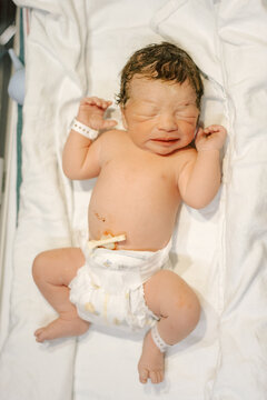 Newborn Baby 