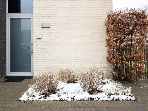 flowerbed in winter
