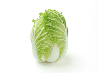 白菜　白バック