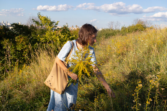 a woman collects wild flowers