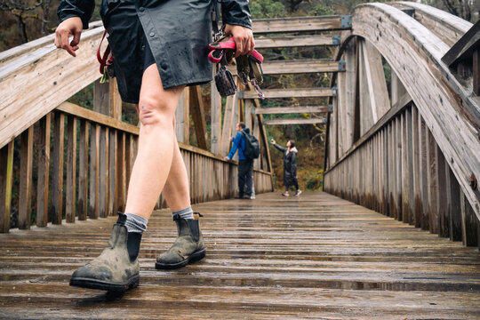 Person walking on a wet wooden bridge carrying dog leashes