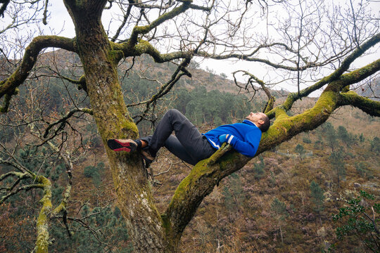 Man lying on mossy tree branch in forest