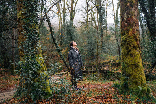 Person in a raincoat looking up in a dense forest