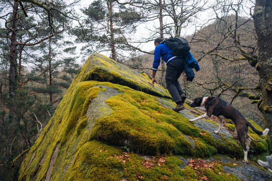 Person climbing a moss-covered rock with a dog
