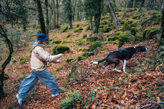 Person struggling to hold back an excited dog on a leash