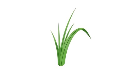 Obraz premium Green Grass Blades Growing From Ground