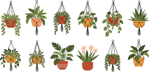 Hanging Houseplant and Indoor Potted Plant Vector Set with Macrame Planters Tropical Leaves and Home Decor Botanical Illustration Collection