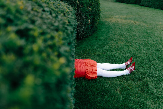 Red Elegance in Paris