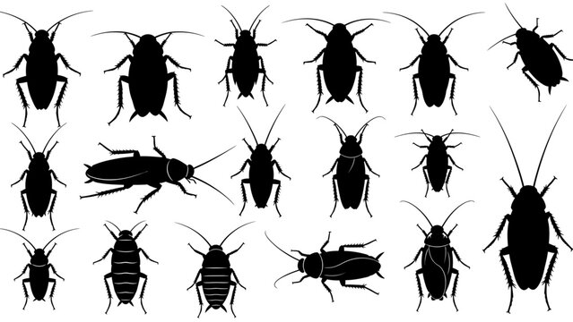 Cockroach Silhouettes Collection vector illustration
