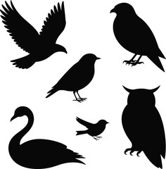 Bird silhouettes set eagle raven crow owl swan and small songbird black shadow collection isolated on white background