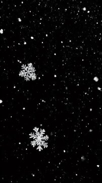 Close Up Of Delicate Snowflakes Falling Against A Dark Black Background With Small Snow Particles And Large Ice