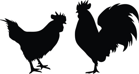Two black rooster and chicken silhouettes standing together in side view vector illustration for farm poultry livestock morning sun and agriculture branding design elements © MdAnowarHossain