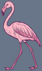 Obraz premium Elegant Pink Flamingo Standing Gracefully on a Solid Background.