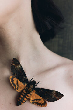 Delicate body part of anonymous woman 
