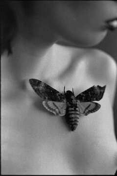 Closeup woman chest with butterfly