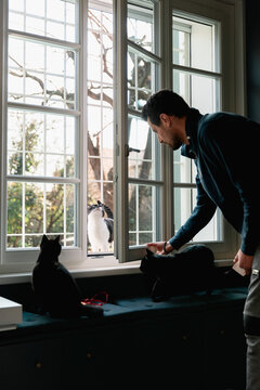 Man opens window in order to let cat come into the house
