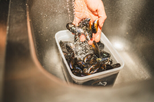 Cleaning Mussels in Sink