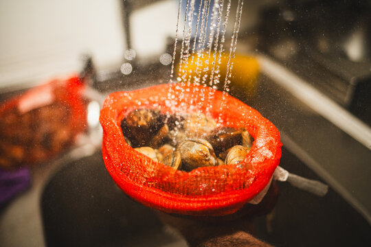 Close-up of Clams being rinsed