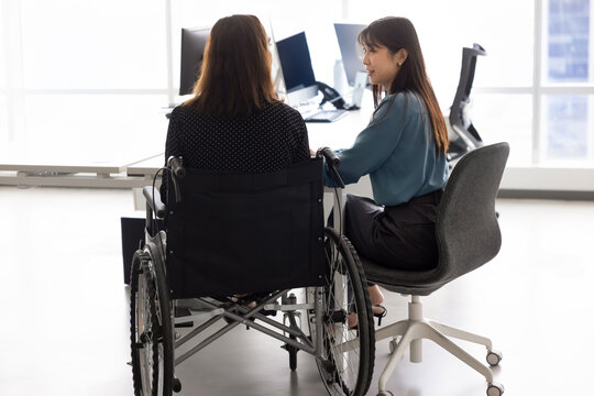 Back view of business professional woman with disability using wheelchair, sitting at young Asian colleague at workplace, using computer for teamwork, working on company with inclusive policy