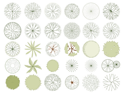 Technical drawings of Trees in top view, editable vector on white background, landscape design and architectural projects.
