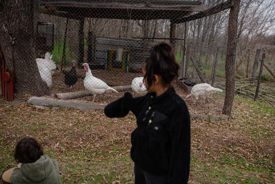 Siblings on a turkey farm