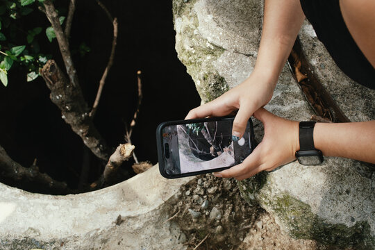 Person taking phone photo of sewer drain with climbing plants