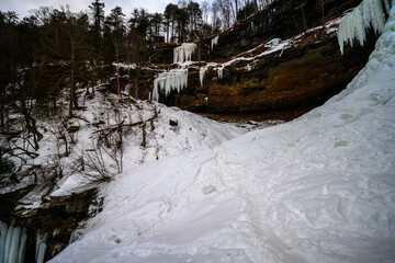 Winter Kaaterskill Forest