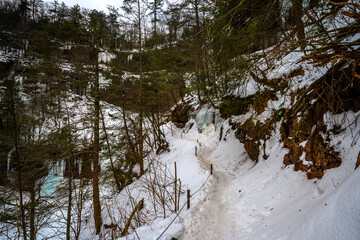 Winter Kaaterskill Forest