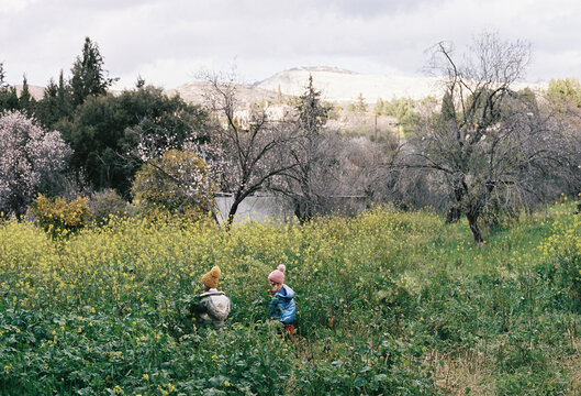 Kids gathering flowers in a vibrant meadow surrounded by trees