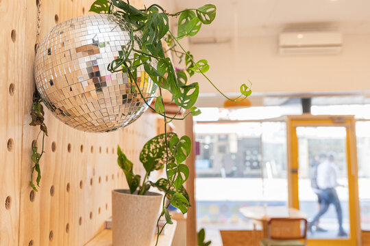 Disco ball and greenery on a wooden wall